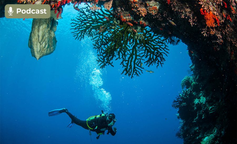 Diver swimming around in Banda, Indonesia underwater