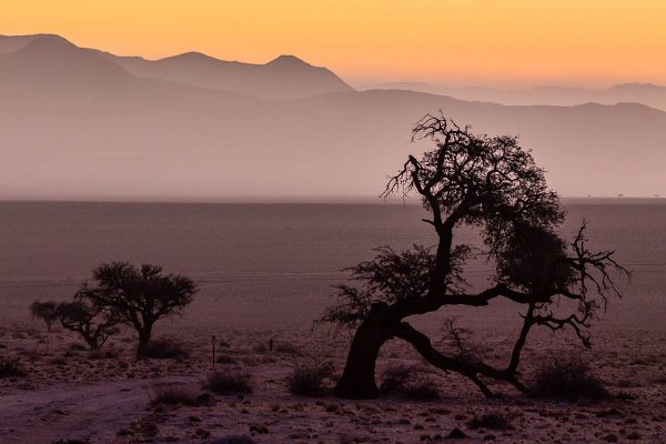 „The Desert“ – Kameltrekking durch die marokkanische Sahara
